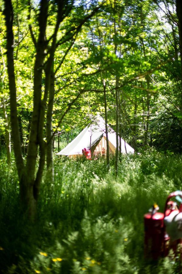 Dgg Woodland Escape Hotel South Barrow Exterior foto