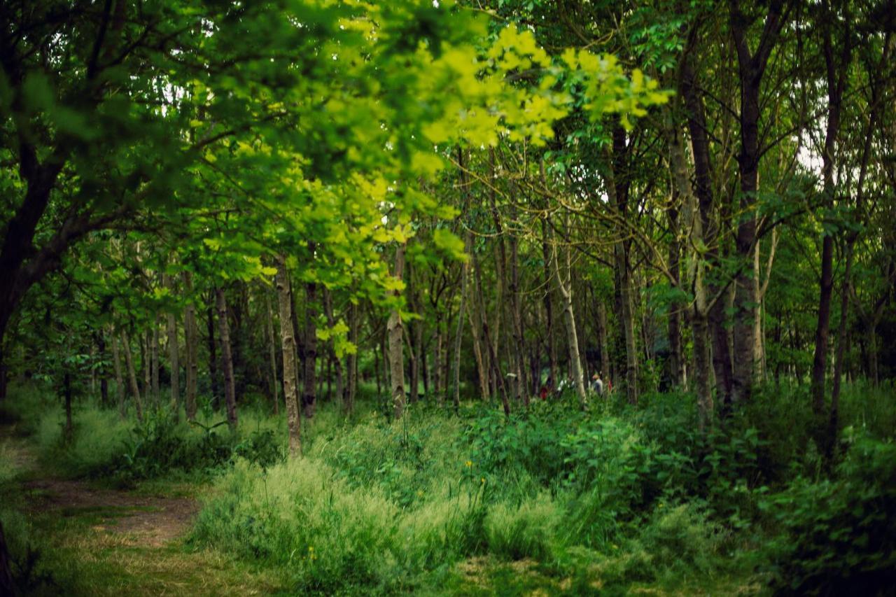 Dgg Woodland Escape Hotel South Barrow Exterior foto