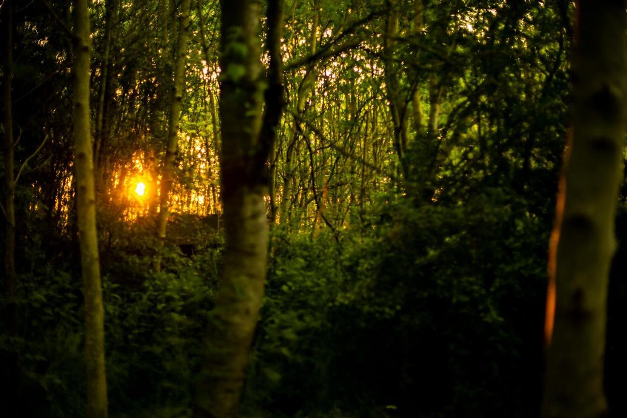 Dgg Woodland Escape Hotel South Barrow Exterior foto