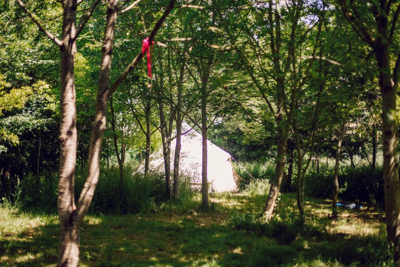 Dgg Woodland Escape Hotel South Barrow Exterior foto