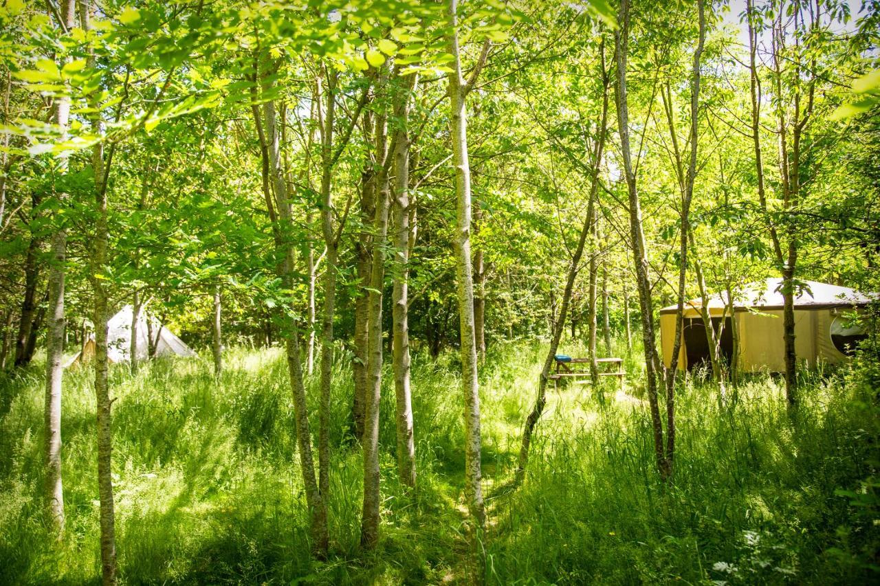 Dgg Woodland Escape Hotel South Barrow Exterior foto